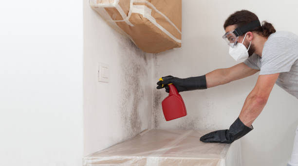 Professional Bathroom Mold Removal technician working in Clinton, PA