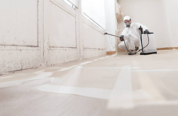 24/7 Emergency Bathroom Mold Removal experts in Clinton, PA